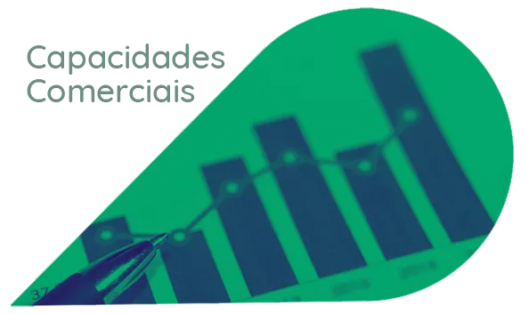 treinamento-capacidades-comerciais